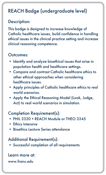 REACH Badge undergraduate requirements